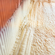 Illustration for article titled Excel Energy Insulation Companyem/em